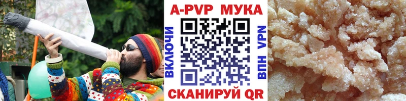 Альфа ПВП СК КРИС  Сунжа 