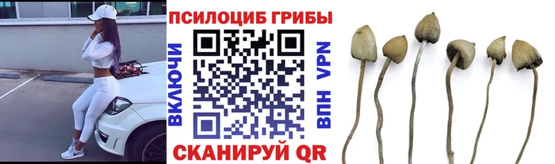 Галлюциногенные грибы MAGIC MUSHROOMS  Сунжа 