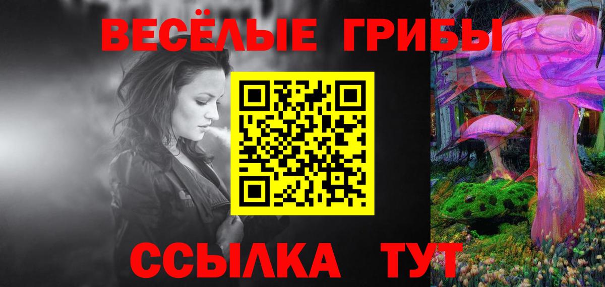 Псилоцибиновые грибы GOLDEN TEACHER  Вход с VPN  Сунжа 